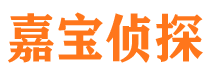 台儿庄侦探社